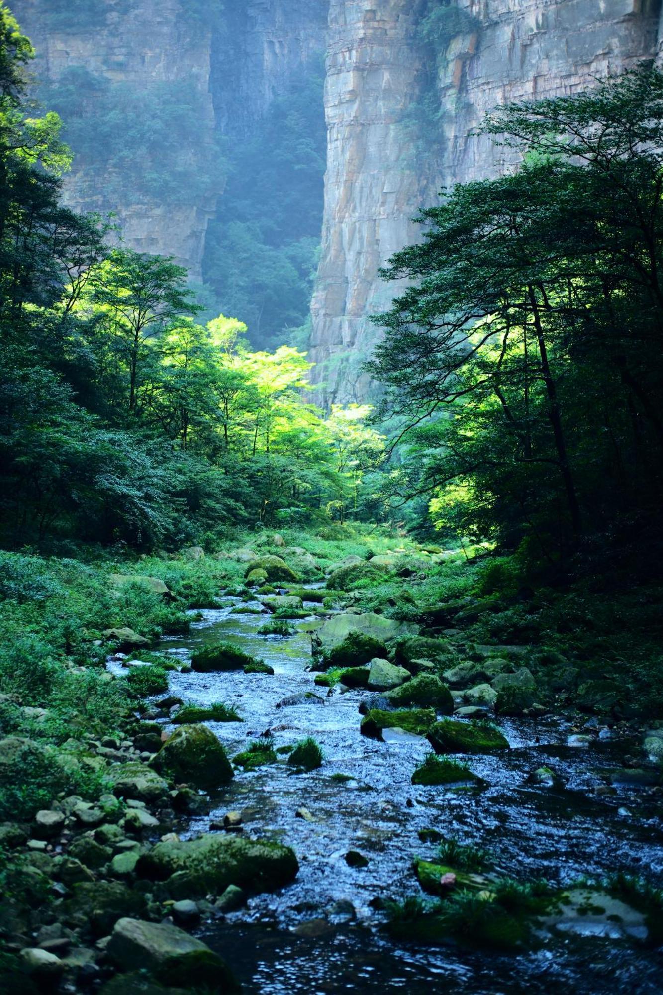 Zhangjiajie Forest Park Youth Hostel Luaran gambar