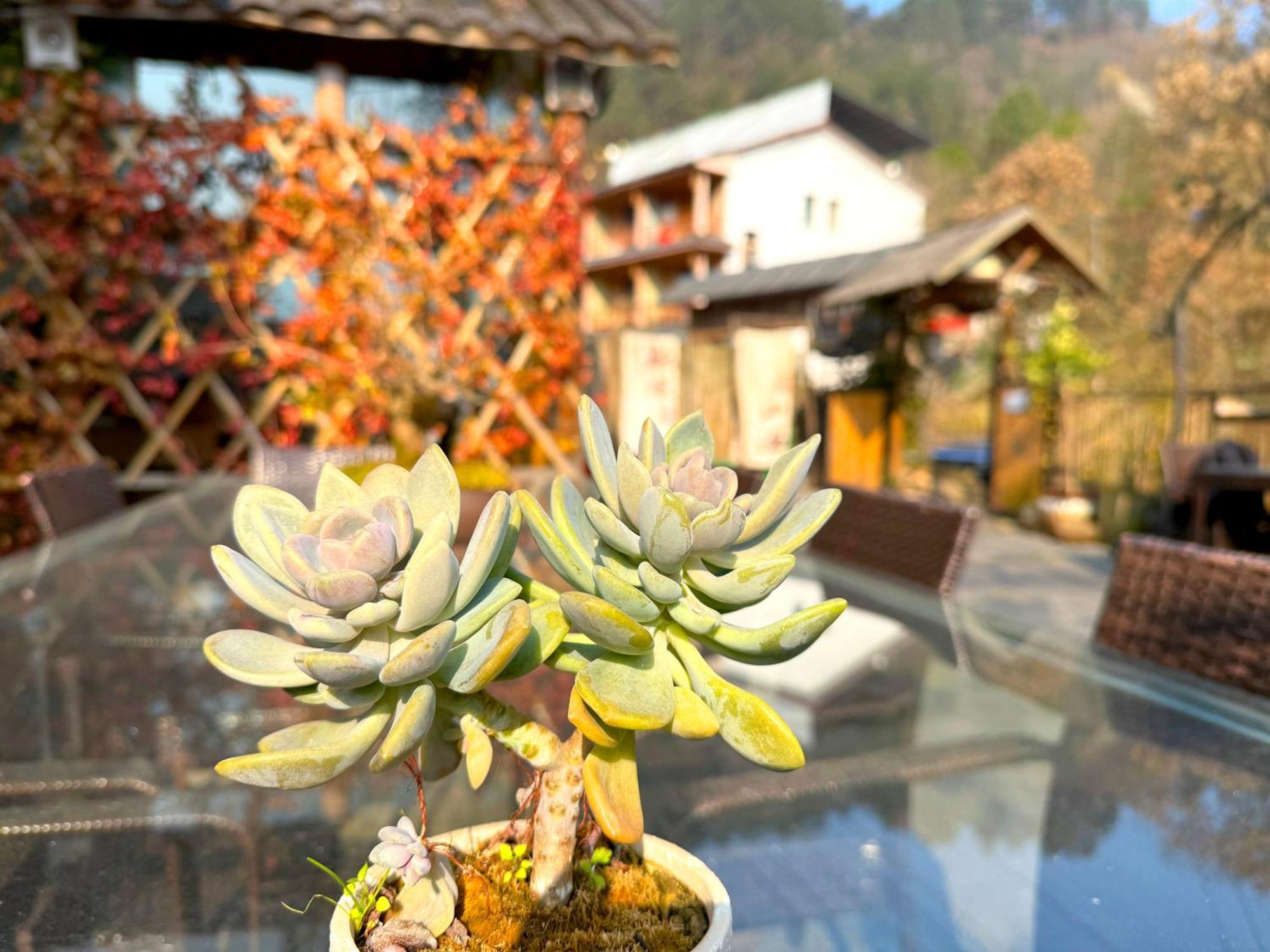 Zhangjiajie Forest Park Youth Hostel Luaran gambar